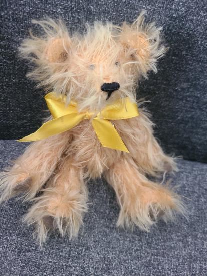 L'ours Calliste