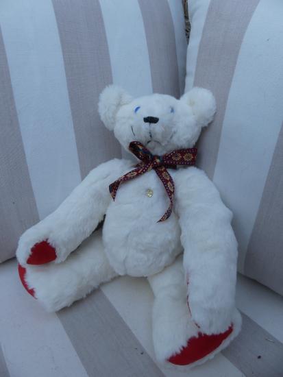 L'ours Groenland