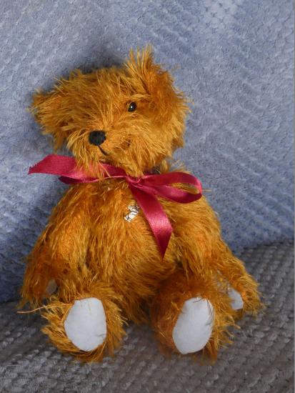 L'ours Jovial