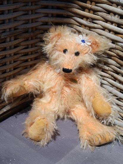 L'ours Pénélope