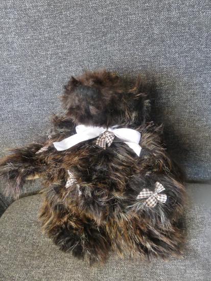 L'ours Wolf